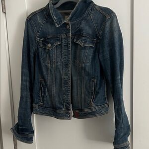 Pilcro and the Letterpress by Anthropologie Distressed Denim Jean Jacket